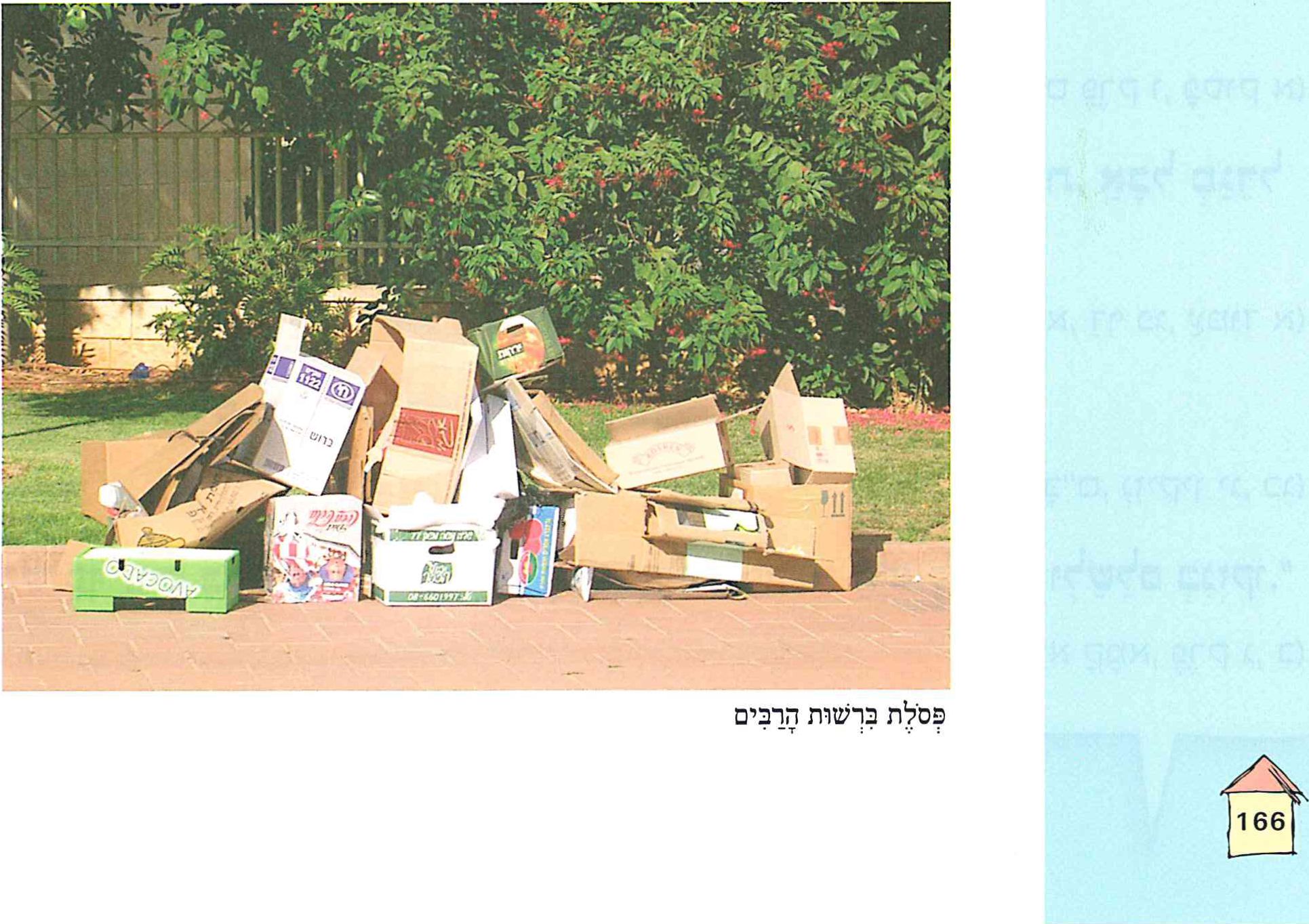 (בספר תמונה של פסולת ברשות הרבים)